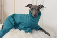 Load image into Gallery viewer, Teal Fleece
