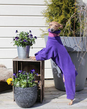Load image into Gallery viewer, Purple Fleece
