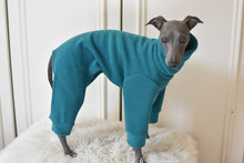 Load image into Gallery viewer, Teal Fleece
