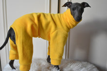 Load image into Gallery viewer, Yellow Fleece
